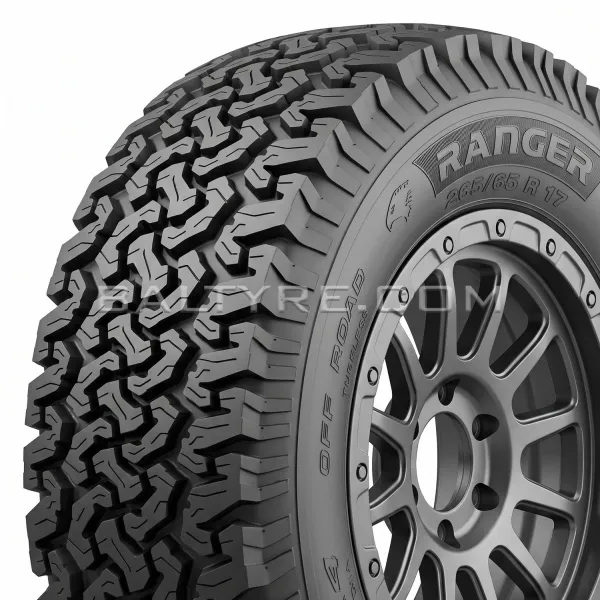 INSA-TURBO IT 215/65R16 RANGER-2 98S